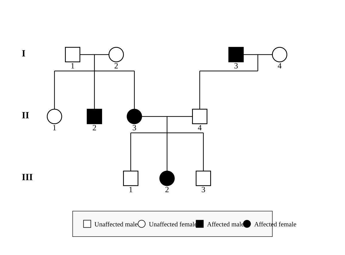 three-generation pedigree. Generation I: I-1 (unaffected male) × I-2 (unaffected female); I-3 (affected male) × I-4 (unaffected female). Generation II: children of I-1 and I-2 are II-1 (unaffected female), II-2 (affected male) and II-3 (affected female); child of I-3 and I-4 is II-4 (unaffected male). II-3 is partnered with II-4. Generation III: children of II-3 and II-4 are III-1 (unaffected male), III-2 (affected female) and III-3 (unaffected male). Squares = male, circles = female, shaded = affected.