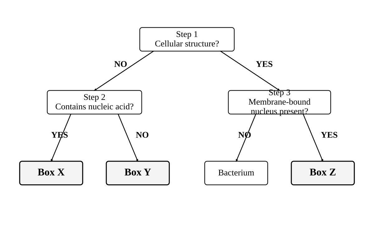 dichotomous key — Step 1: "Cellular structure?" NO → Step 2: "Contains nucleic acid?" YES → Box X; NO → Box Y. Step 1 YES → Step 3: "Membrane-bound nucleus present?" NO → bacterium; YES → Box Z.